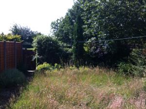 Garden Tidy (1 of 2) - Overgrown Lytham garden in need of some TLC prior to putting the house up for sale